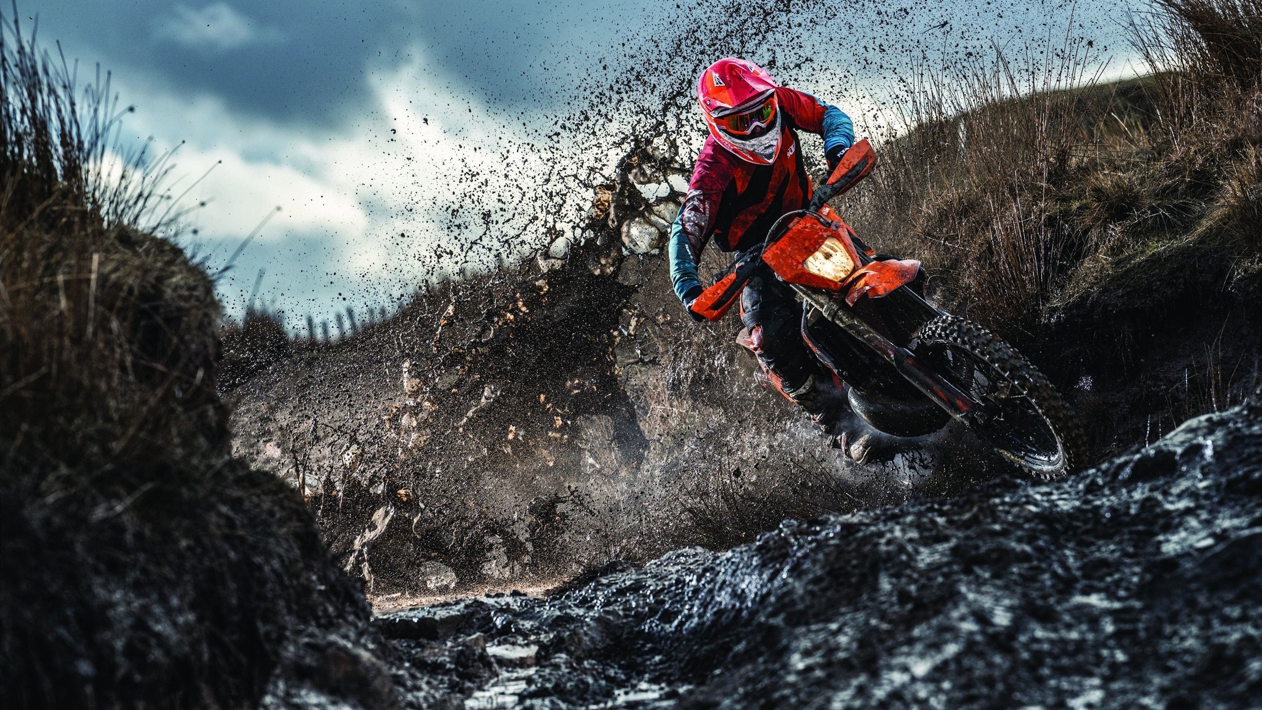 球迷狂欢夜：球场变成了欢乐的海洋，球迷疯狂庆祝照片